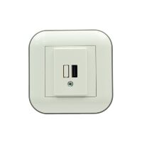 Розетка 1-USB LOFT біла+сіра