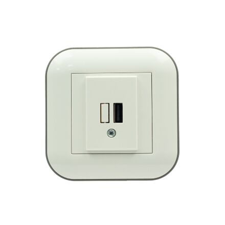 Розетка 1-USB LOFT біла+сіра