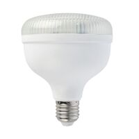 Світлодіодна лампа CRYSTAL-50 50W E27 6400K