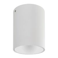 Світильник накладний SALSA-L білий