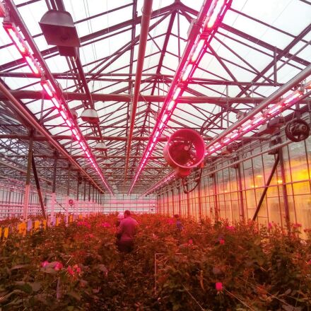 Світлодіодний фітосвітильник EUROLAMP LED FLORA 250 3,4 RW