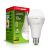 EUROLAMP LED Лампа А90 18W E27 4500K
