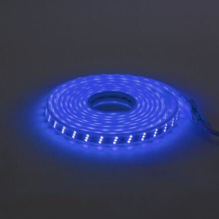 Стрічка Діодна GANJ синя (220-240V) вологозахищена