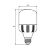 Потужна світлодіодна лампа EUROLAMP 30W E27 6500K 220V