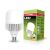 Високопотужна світлодіодна лампа EUROLAMP 40W E27 6500K 220V