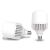 Високопотужна світлодіодна лампа EUROLAMP 40W E27 6500K 220V