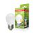 Світлодіодна лампа EUROELECTRIC LED G45 5W E27 4000K 220V