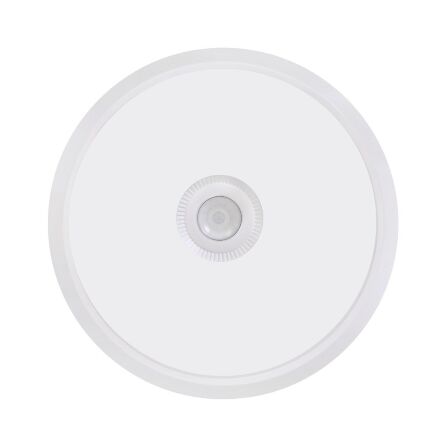 Світлодіодний світильник настінно-стельовий CRAMER з сутінковим датчиком і датчиком руху