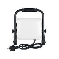 Прожектор світлодіодний PEGASUS/W-50 50W 6400K