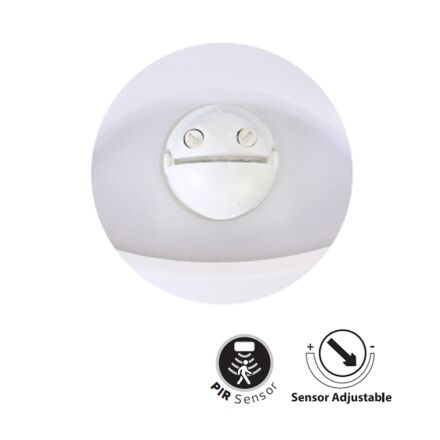 Світлодіодний світильник настінно-стельовий PALERMO з сутінковим датчиком і датчиком руху