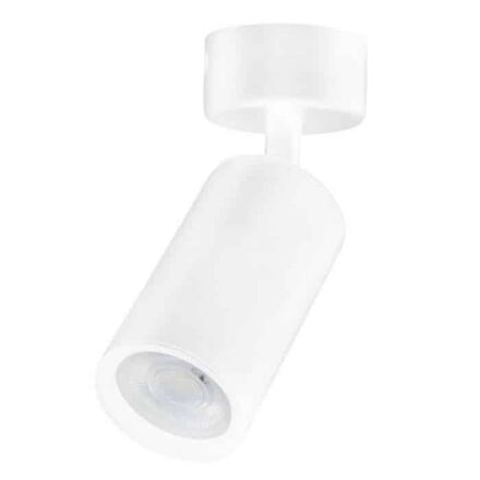 Світильник-спот LOZAN білий